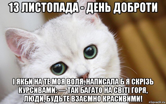 13 листопада - день доброти і якби на те моя воля, написала б я скрізь курсивами: — так багато на світі горя, люди, будьте взаємно красивими!, Мем  В мире грустит один котик