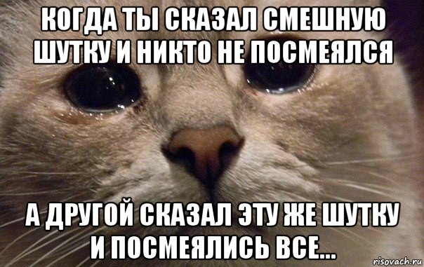 когда ты сказал смешную шутку и никто не посмеялся а другой сказал эту же шутку и посмеялись все..., Мем   В мире грустит один котик