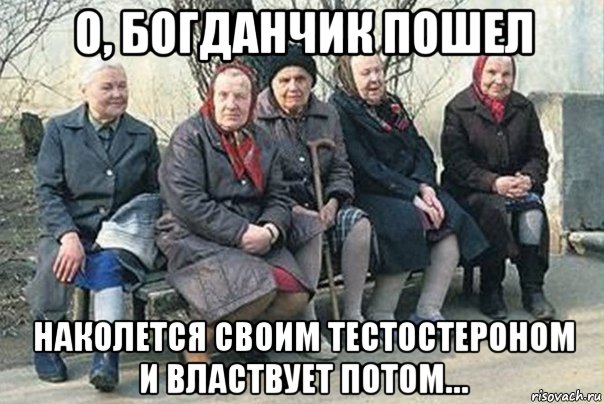 о, богданчик пошел наколется своим тестостероном и властвует потом…, Мем  вася