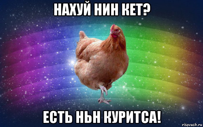 нахуй нин кет? есть ньн куритса!, Мем Весела Курка