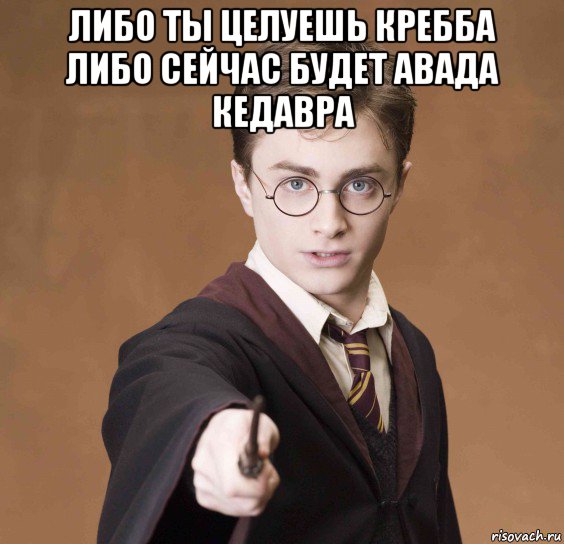 либо ты целуешь кребба либо сейчас будет авада кедавра , Мем  Весёлый волшебник