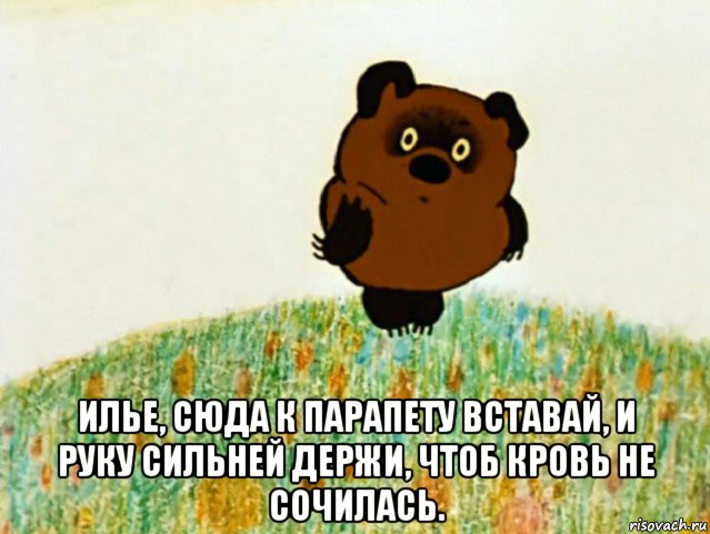  илье, сюда к парапету вставай, и руку сильней держи, чтоб кровь не сочилась., Мем ВИННИ ПУХ