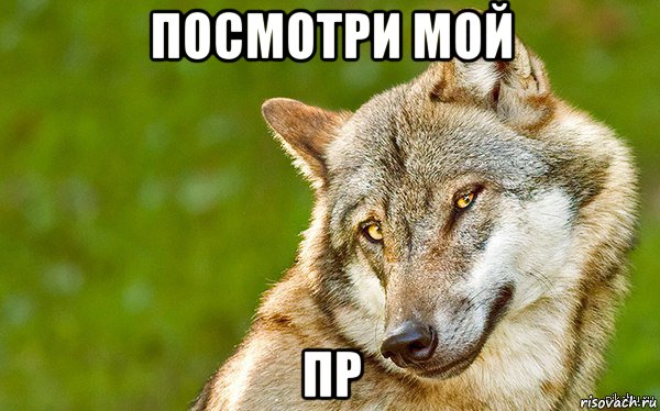 посмотри мой пр, Мем   Volf