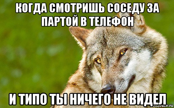 когда смотришь соседу за партой в телефон и типо ты ничего не видел, Мем   Volf