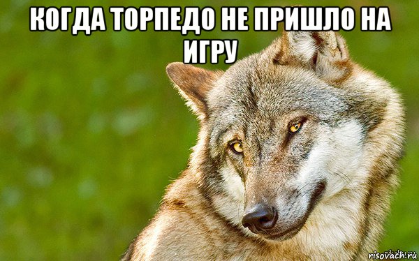 когда торпедо не пришло на игру , Мем   Volf