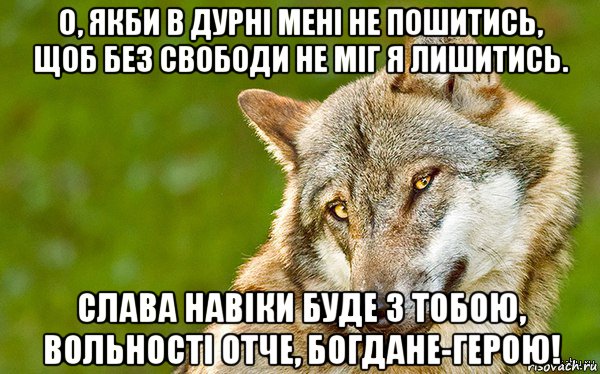 о, якби в дурні мені не пошитись, щоб без свободи не міг я лишитись. слава навіки буде з тобою, вольності отче, богдане-герою!