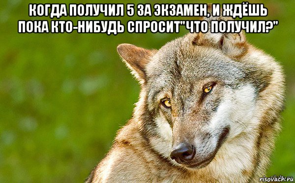 когда получил 5 за экзамен, и ждёшь пока кто-нибудь спросит"что получил?" 