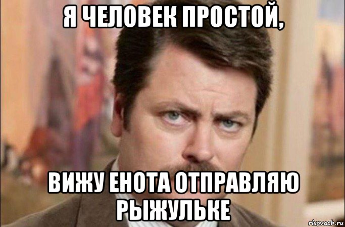 я человек простой, вижу енота отправляю рыжульке, Мем  Я человек простой