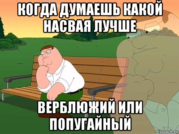 когда думаешь какой насвая лучше верблюжий или попугайный, Мем Задумчивый Гриффин