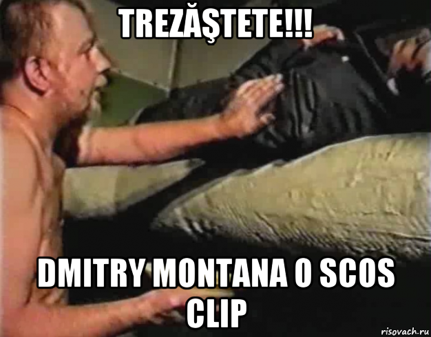 trezăştete!!! dmitry montana o scos clip, Мем Зеленый слоник