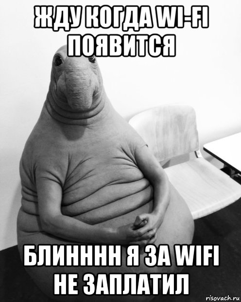 жду когда wi-fi появится блинннн я за wifi не заплатил, Мем  Ждун