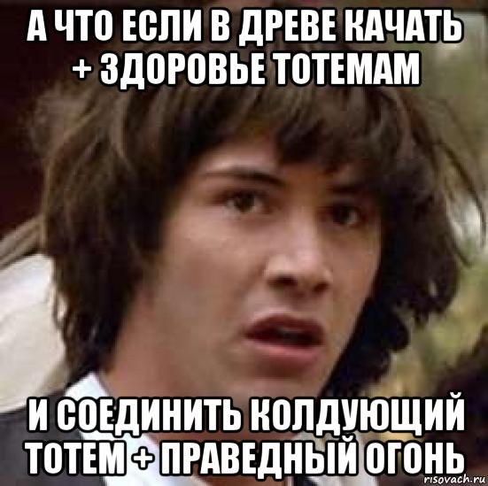 а что если в древе качать + здоровье тотемам и соединить колдующий тотем + праведный огонь, Мем А что если (Киану Ривз)