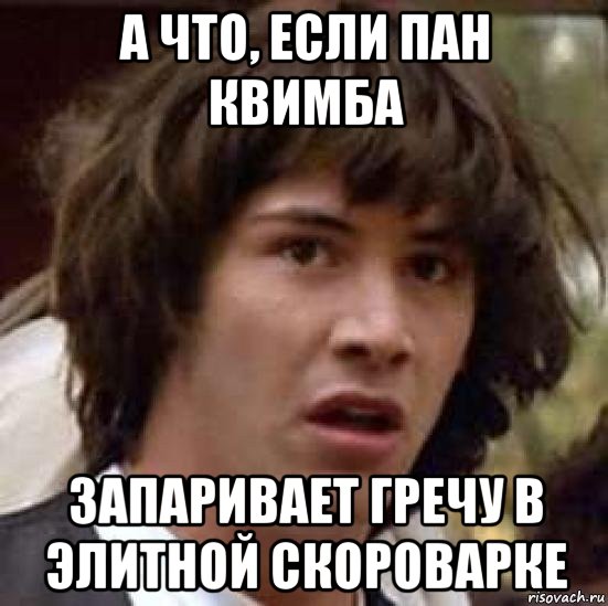 а что, если пан квимба запаривает гречу в элитной скороварке, Мем А что если (Киану Ривз)