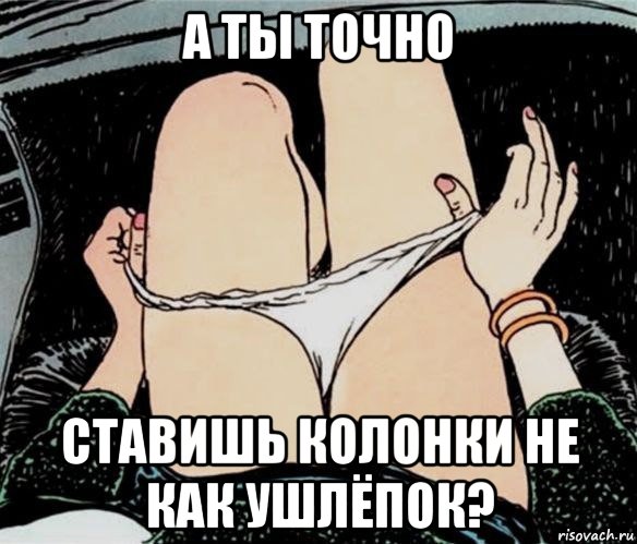 а ты точно ставишь колонки не как ушлёпок?, Мем А ты точно