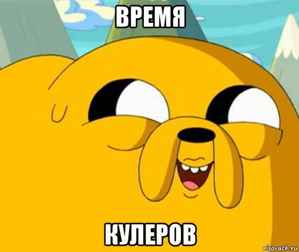 время кулеров, Мем  Adventure time