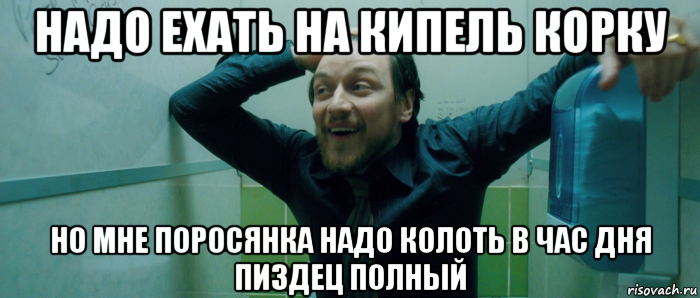 надо ехать на кипель корку но мне поросянка надо колоть в час дня пиздец полный, Мем  Что происходит