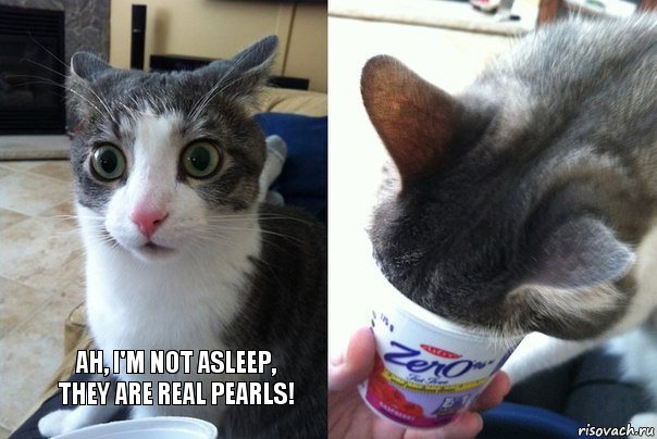  Ah, I'm not asleep, they are real pearls!  