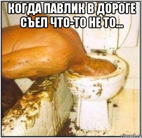 когда павлик в дороге съел что-то не то... , Мем Дайвер