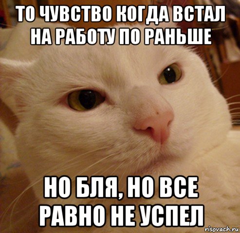 то чувство когда встал на работу по раньше но бля, но все равно не успел