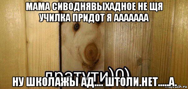 мама сиводнявыхадное не щя училка придот я ааааааа ну школажы ад.... штоли.нет.....а., Мем  Дратути