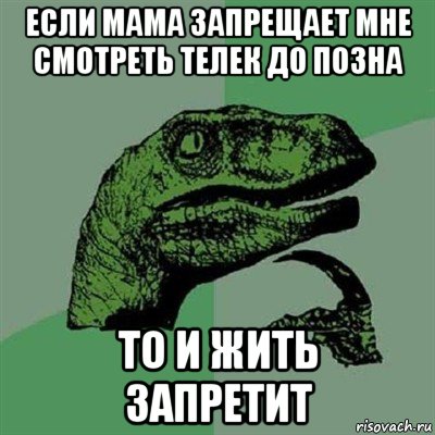 если мама запрещает мне смотреть телек до позна то и жить запретит, Мем Филосораптор