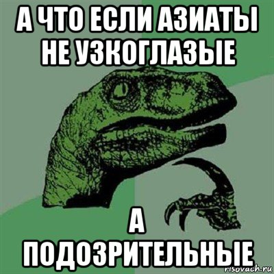 а что если азиаты не узкоглазые а подозрительные, Мем Филосораптор