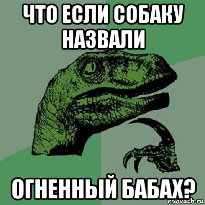 что если собаку назвали огненный бабах?, Мем Филосораптор