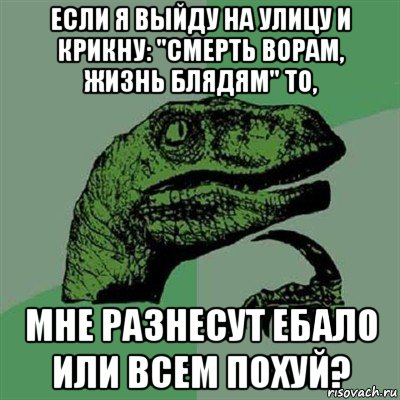 если я выйду на улицу и крикну: "смерть ворам, жизнь блядям" то, мне разнесут ебало или всем похуй?