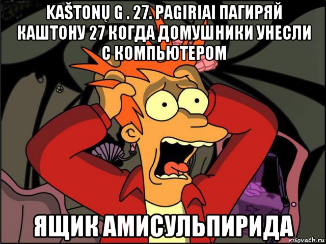 kaštonų g . 27. pagiriai пагиряй каштону 27 когда домушники унесли с компьютером ящик амисульпирида, Мем Фрай в панике