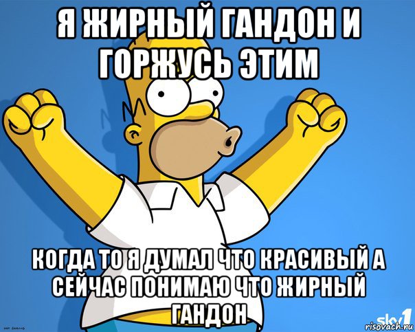 я жирный гандон и горжусь этим когда то я думал что красивый а сейчас понимаю что жирный гандон, Мем    Гомер