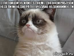 С пятницей! Ну или с 5 днём 7 дневной рабочей недели менеджера по продаже недвижимости    , Комикс grumpy cat