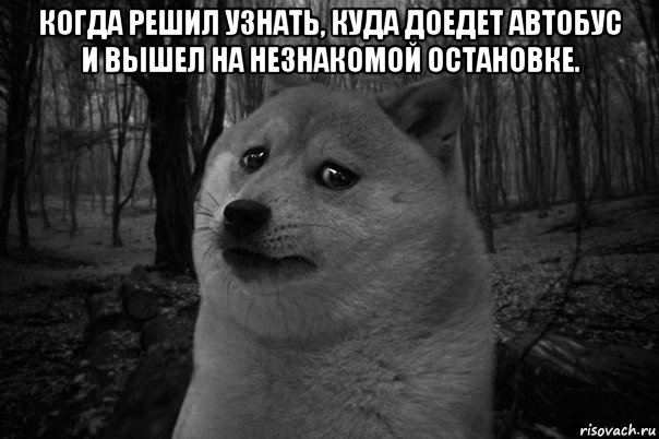 когда решил узнать, куда доедет автобус и вышел на незнакомой остановке. , Мем    Грусть-пичаль