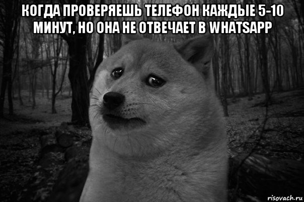 когда проверяешь телефон каждые 5-10 минут, но она не отвечает в whatsapp , Мем    Грусть-пичаль