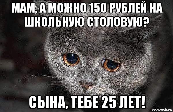 мам, а можно 150 рублей на школьную столовую? сына, тебе 25 лет!, Мем  Грустный кот