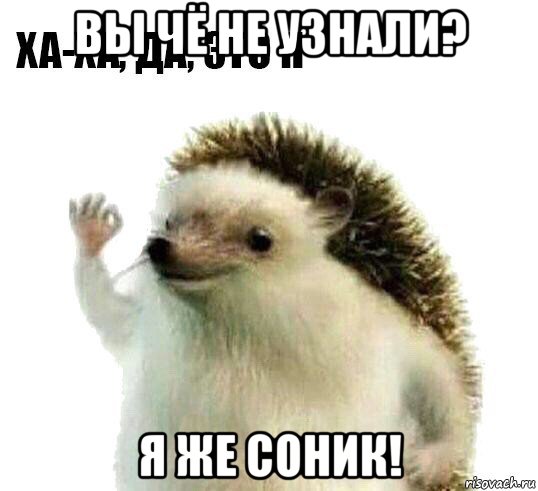 вы чё не узнали? я же соник!, Мем Ха-ха да это я