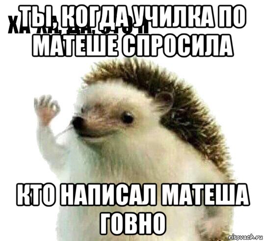 ты, когда училка по матеше спросила кто написал матеша говно, Мем Ха-ха да это я