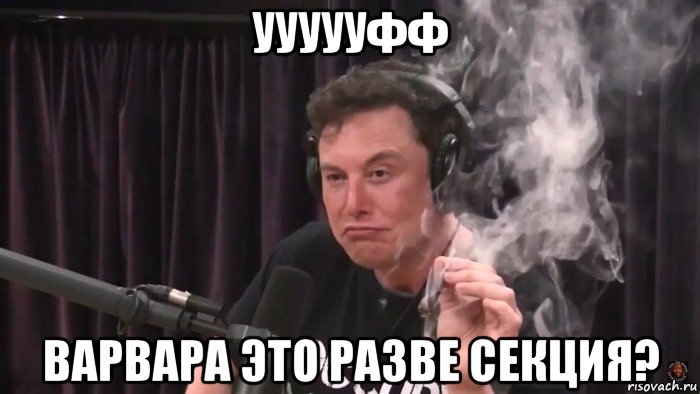 уууууфф варвара это разве секция?, Мем Илон Маск