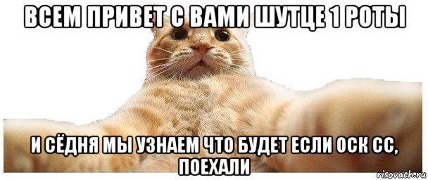 всем привет с вами шутце 1 роты и сёдня мы узнаем что будет если оск сс, поехали, Мем   Кэтсвилл