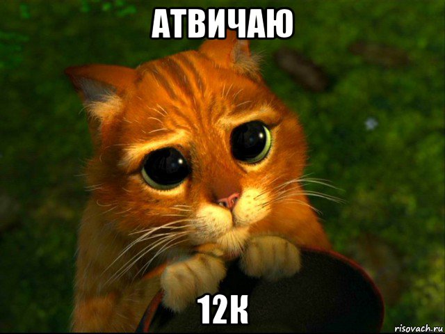 атвичаю 12к