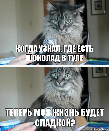 Когда узнал, где есть шоколад в Туле Теперь моя жизнь будет сладкой?, Комикс  кот с микрофоном