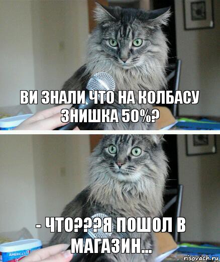 Ви знали что на колбасу знишка 50%? - ЧТО???я пошол в магазин..., Комикс  кот с микрофоном