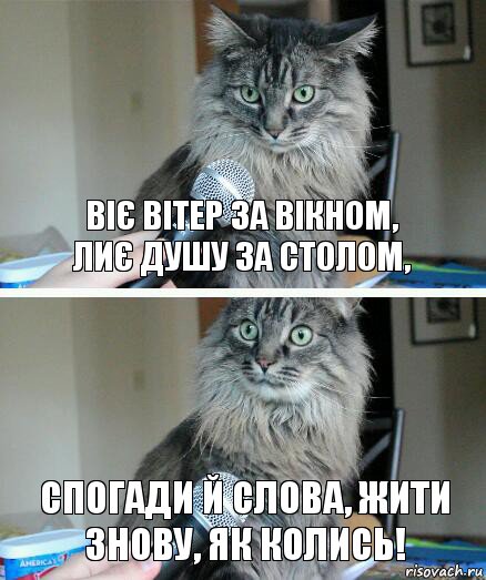 Віє вітер за вікном,
Лиє душу за столом, Спогади й слова, жити
Знову, як колись!, Комикс  кот с микрофоном