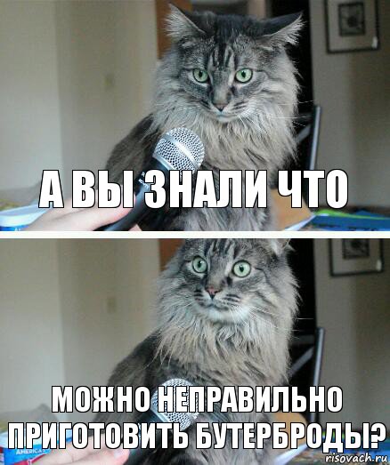 а вы знали что можно неправильно приготовить бутерброды?, Комикс  кот с микрофоном