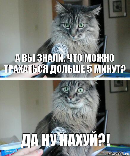 а вы знали, что можно трахаться дольше 5 минут? ДА НУ НАХУЙ?!, Комикс  кот с микрофоном