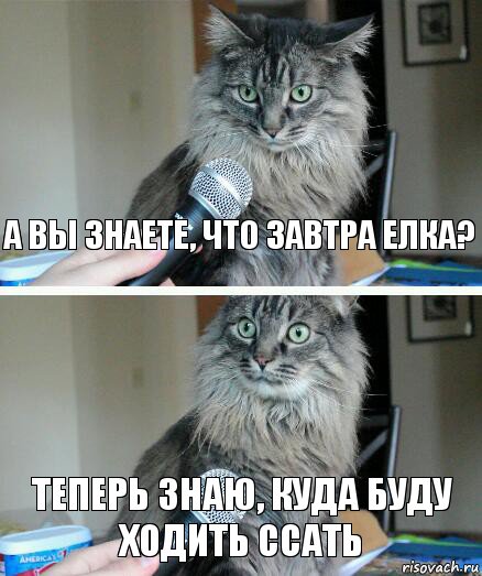 А вы знаете, что завтра елка? Теперь знаю, куда буду ходить ссать, Комикс  кот с микрофоном