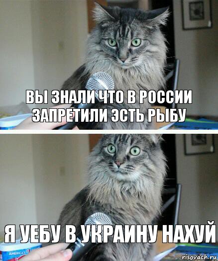 Bы знали что B россии запретили эсть рыбу Я уебу b украину нахуй, Комикс  кот с микрофоном