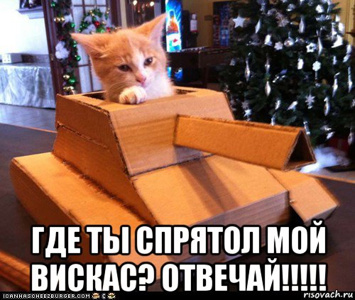  где ты спрятол мой вискас? отвечай!!!!!, Мем Котэ танкист