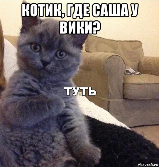 котик, где саша у вики? 