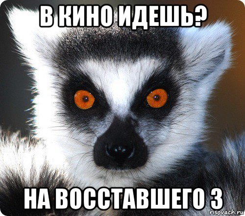 в кино идешь? на восставшего 3, Мем лемур