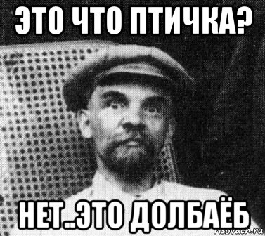 это что птичка? нет..это долбаёб, Мем   Ленин удивлен